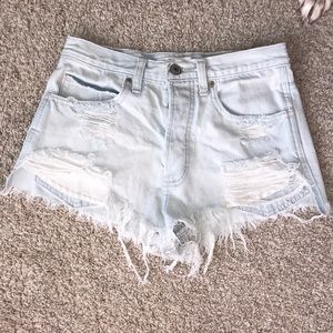 Festival shorts